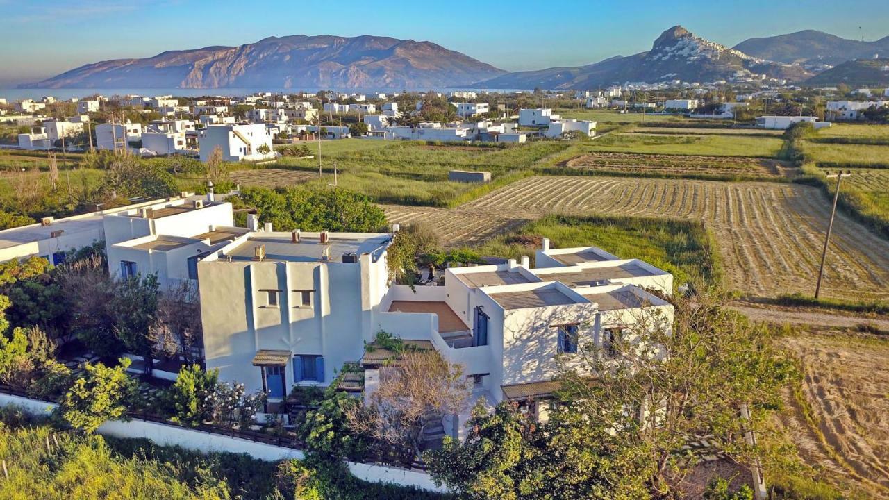 Patriko Skyros